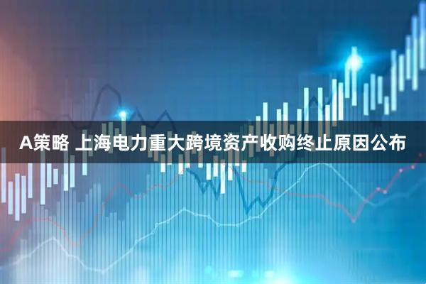 A策略 上海电力重大跨境资产收购终止原因公布