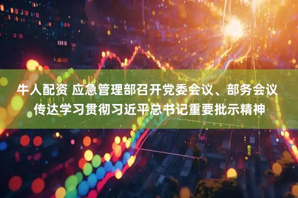 牛人配资 应急管理部召开党委会议、部务会议 传达学习贯彻习近平总书记重要批示精神